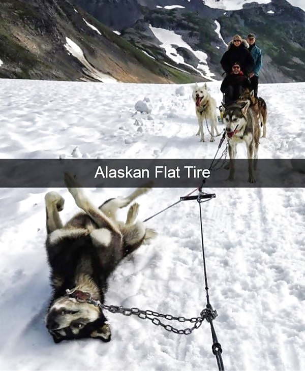 flat tyre in alaska - Alaskan Flat Tire