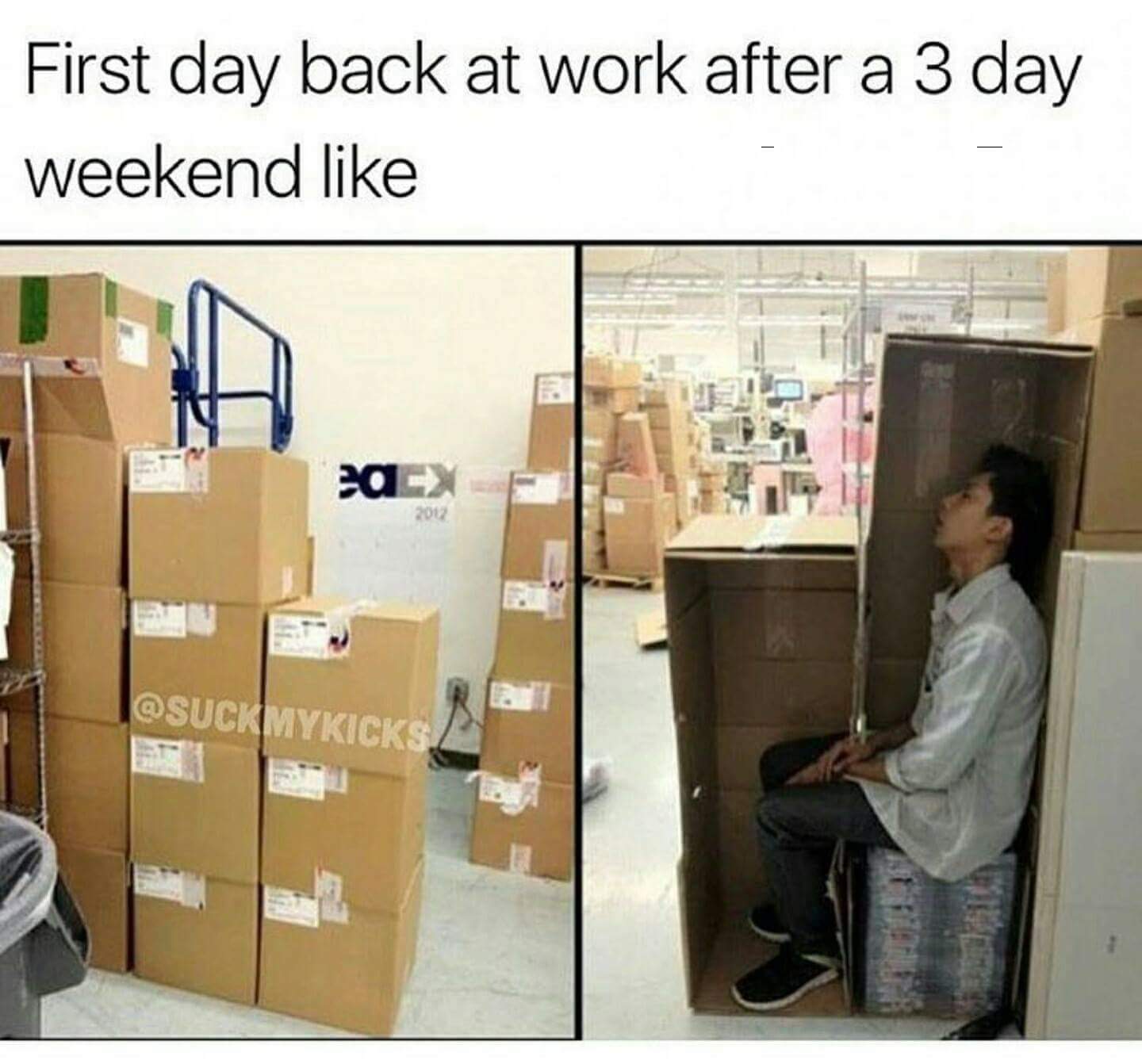 amazing picture of hiding in boxes at work - First day back at work after a 3 day weekend 20