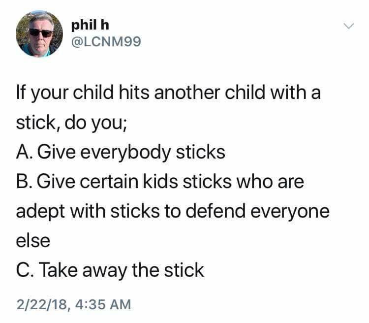 amazing picture of stick analogy for guns - phil h If your child hits another child with a stick, do you; A. Give everybody sticks B. Give certain kids sticks who are adept with sticks to defend everyone else C. Take away the stick 22218,