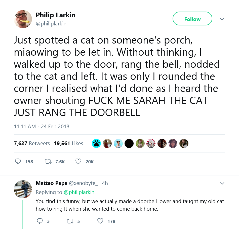 amazing picture of sarah the cat rang the doorbell - Philip Larkin Just spotted a cat on someone's porch, miaowing to be let in. Without thinking, I walked up to the door, rang the bell, nodded to the cat and left. It was only I rounded the corner I reali