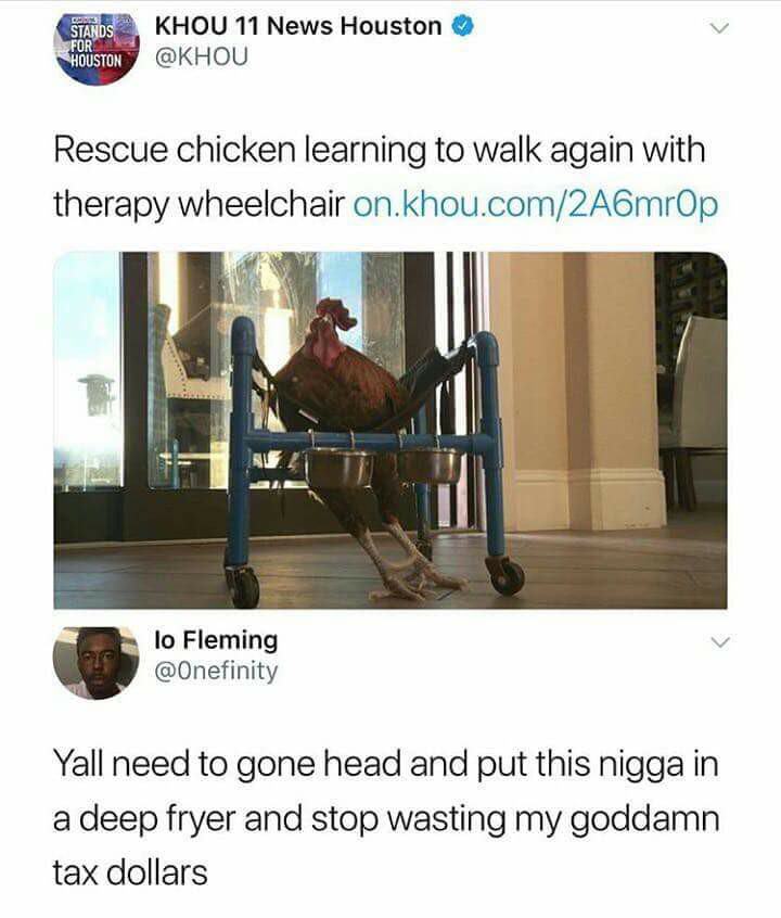 chicken learning to walk again - Score Stands For Houston Khou 11 News Houston Rescue chicken learning to walk again with therapy wheelchair on.khou.com2A6mrop lo Fleming Yall need to gone head and put this nigga in a deep fryer and stop wasting my goddam