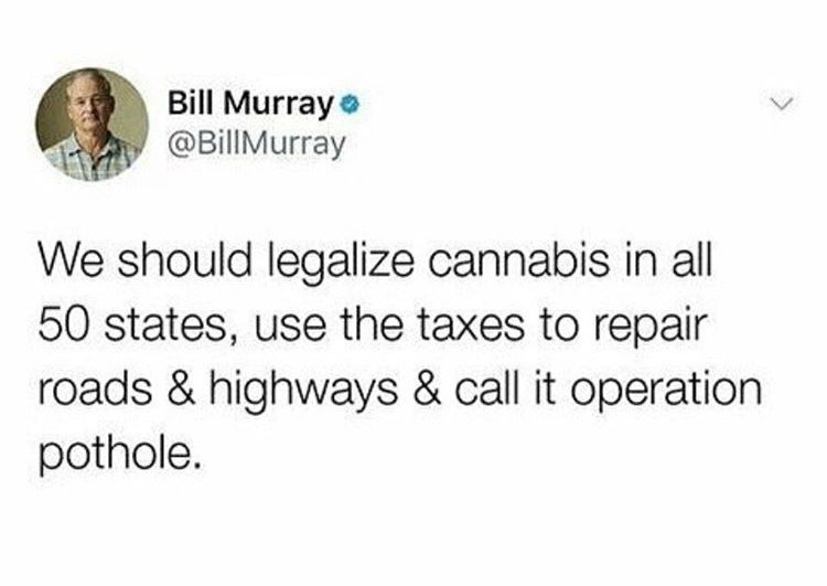 underwear packing meme - Bill Murray Murray We should legalize cannabis in all 50 states, use the taxes to repair roads & highways & call it operation pothole.