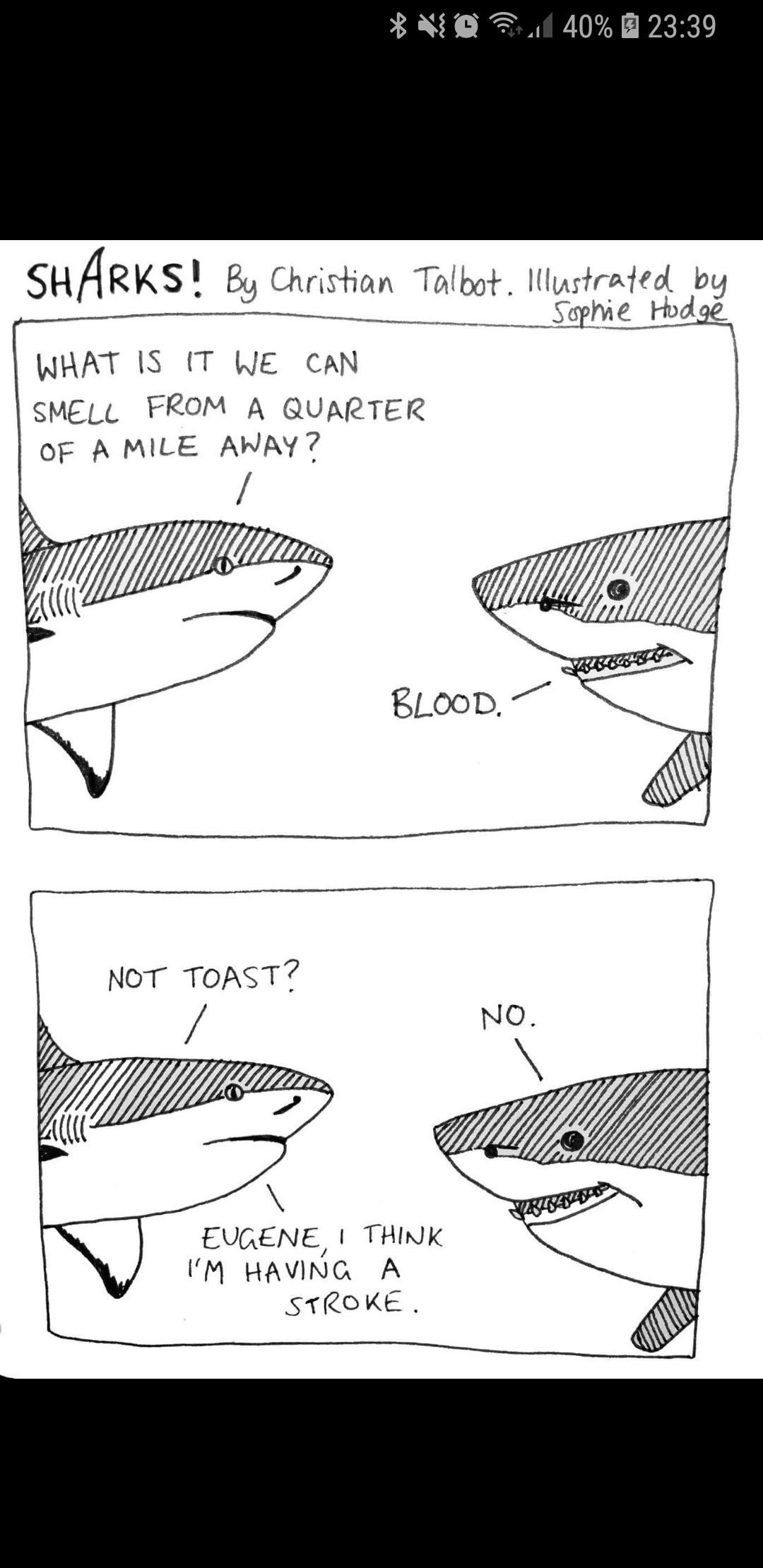 shark toast comic - Vid El 40% Sharks! By Christian Talbot. Illustrated by Sophie Hudge What Is It We Can Smell From A Quarter Of A Mile Away? Blood, Not Toast? No. Eugene, I Think I'M Having A Stroke.