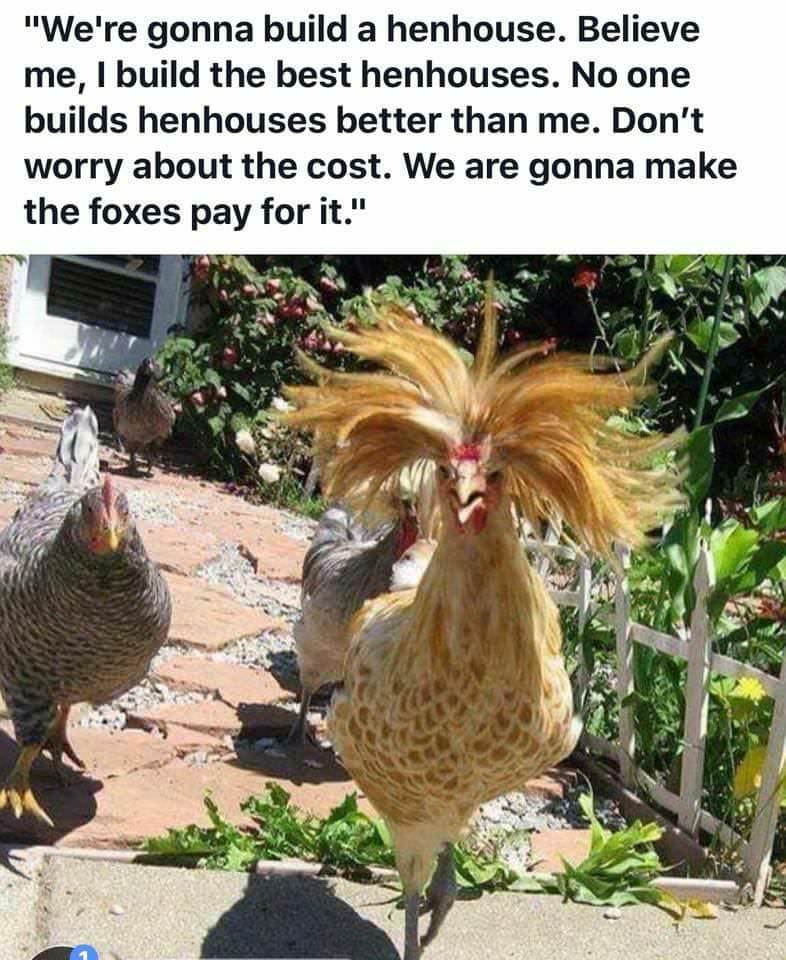 trump rooster - "We're gonna build a henhouse. Believe me, I build the best henhouses. No one builds henhouses better than me. Don't worry about the cost. We are gonna make the foxes pay for it."