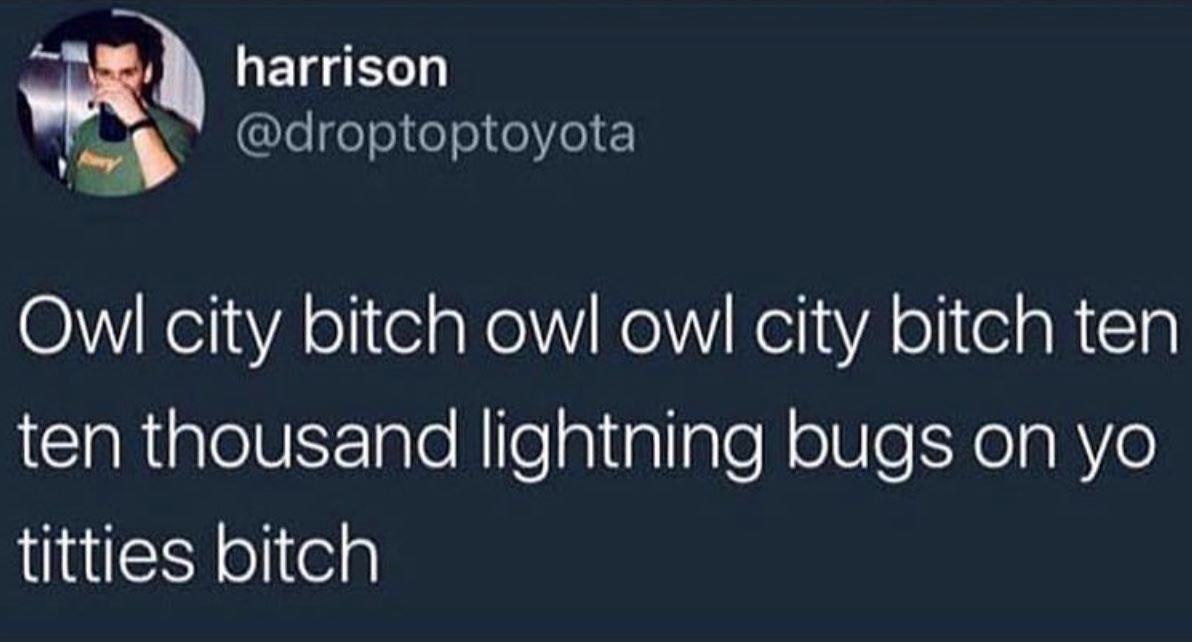 if you have a crush on me tell me before i spend my valentine's day money on drugs - harrison Owl city bitch owl owl city bitch ten ten thousand lightning bugs on yo titties bitch