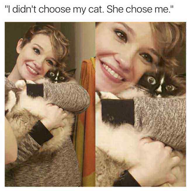 didnt choose my cat she chose me - "I didn't choose my cat. She chose me."