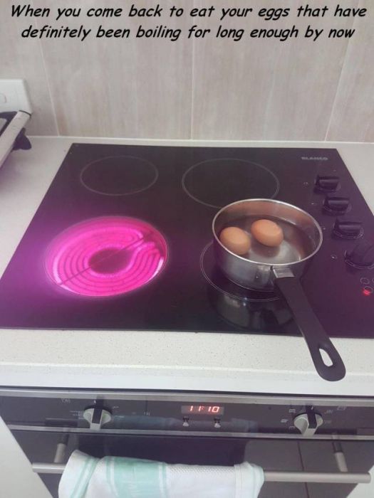 reddit stove induction - When you come back to eat your eggs that have definitely been boiling for long enough by now 110