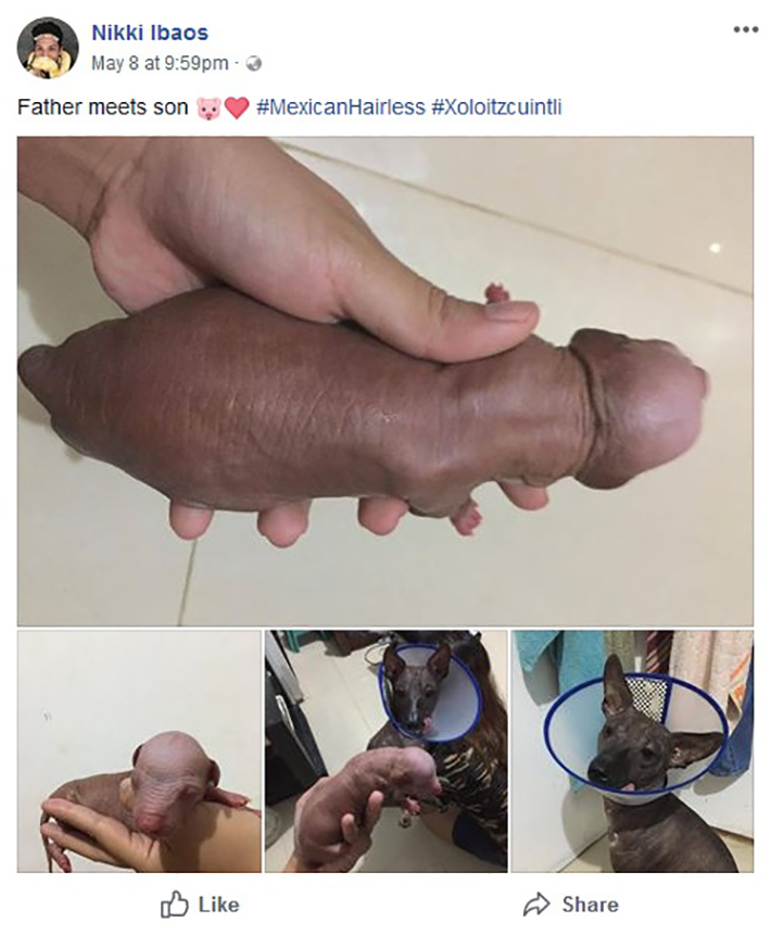 Dominic laughed and posted a photo of his pup on Twitter asking which dirty mind had indicated his photo.