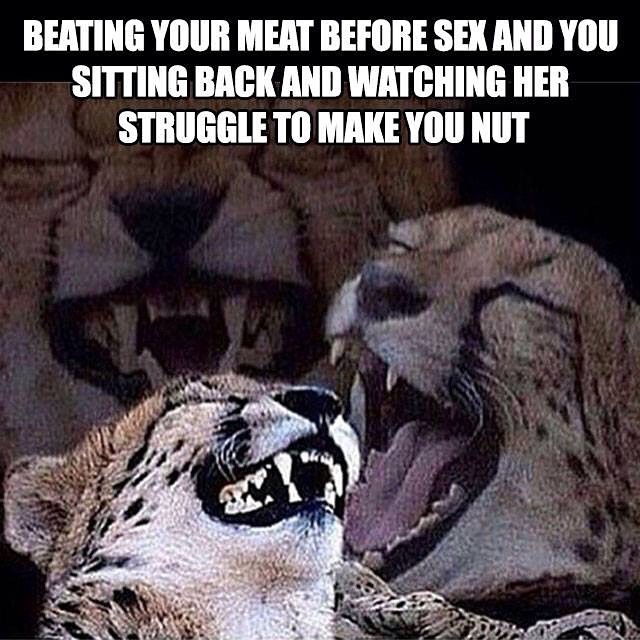 random khajiit meme - Beating Your Meat Before Sex And You Sitting Back And Watching Her Struggle To Make You Nut