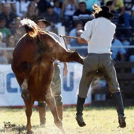 Rodeo cowboy getting kicked in the balls