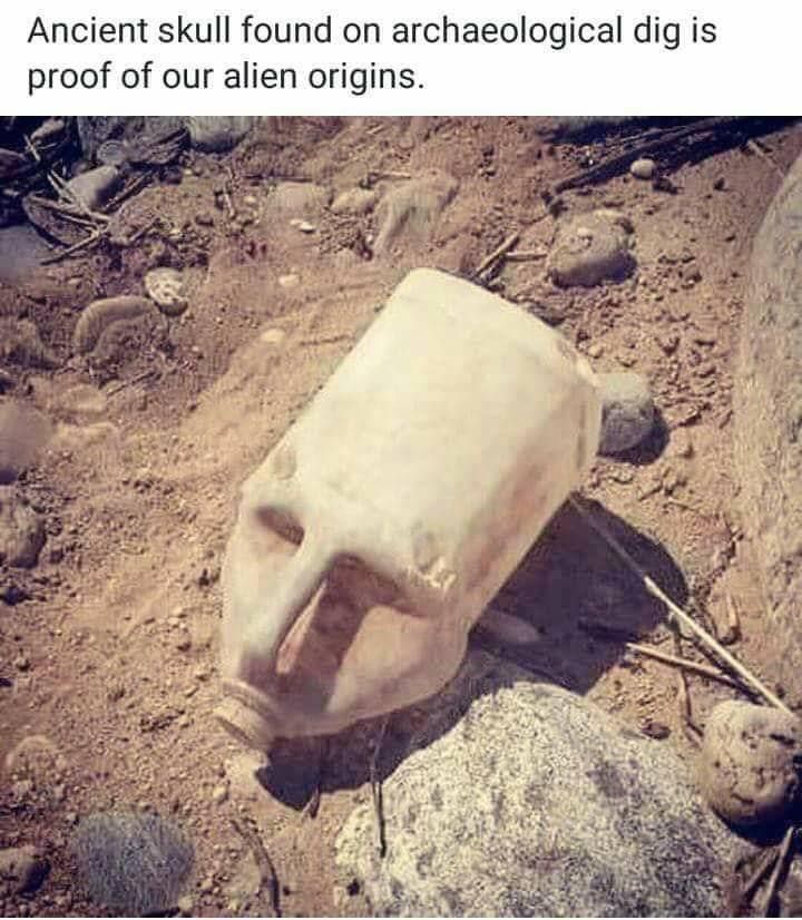proof of our alien origins - Ancient skull found on archaeological dig is proof of our alien origins.