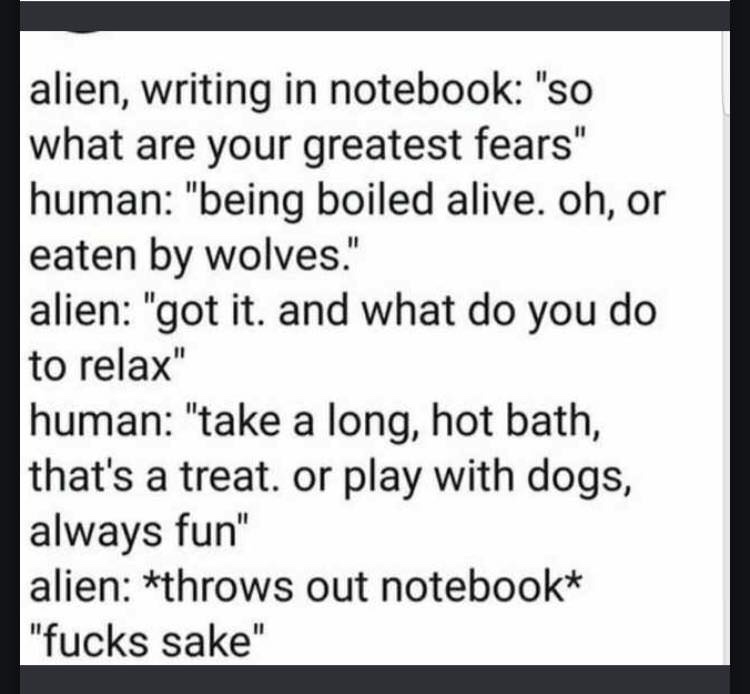 handwriting - alien, writing in notebook "so what are your greatest fears" human "being boiled alive. oh, or eaten by wolves." alien "got it, and what do you do to relax" human "take a long, hot bath, that's a treat. or play with dogs, always fun" alien t