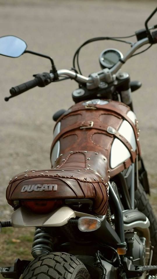 ducati bike with leather all over it