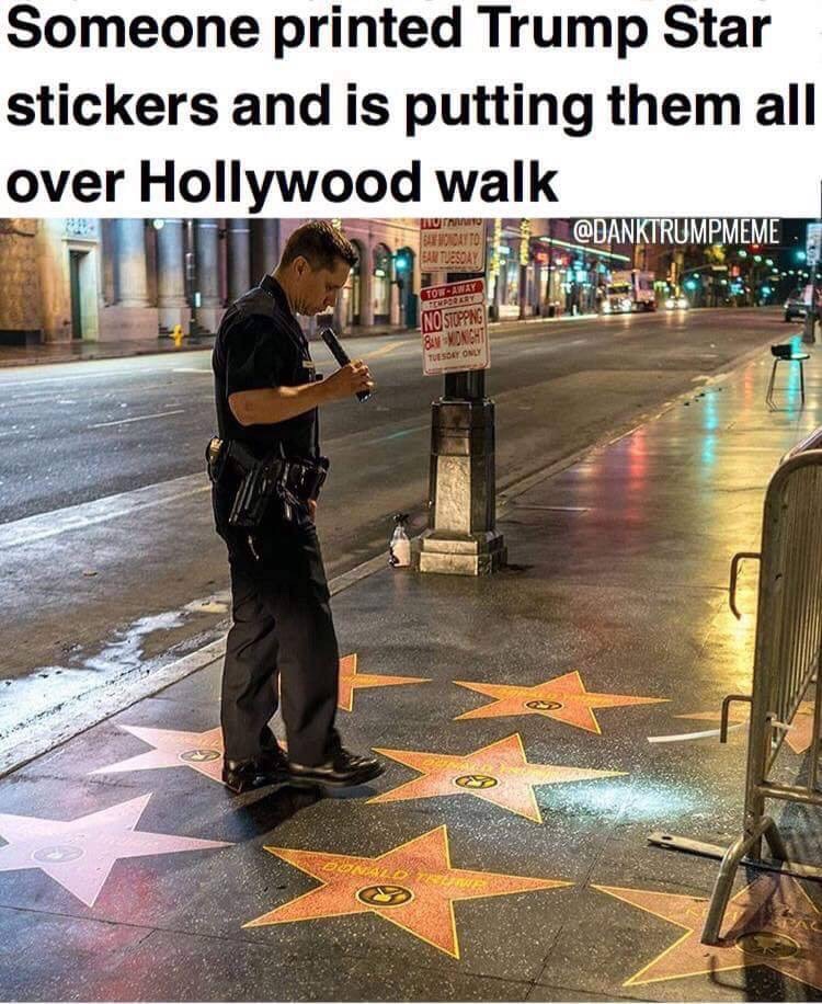 Walk of Fame with multiple donald trump stars