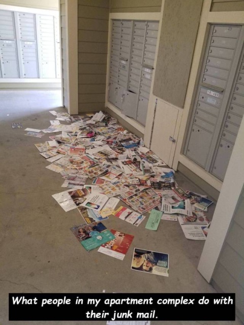 room - What people in my apartment complex do with their junk mail.