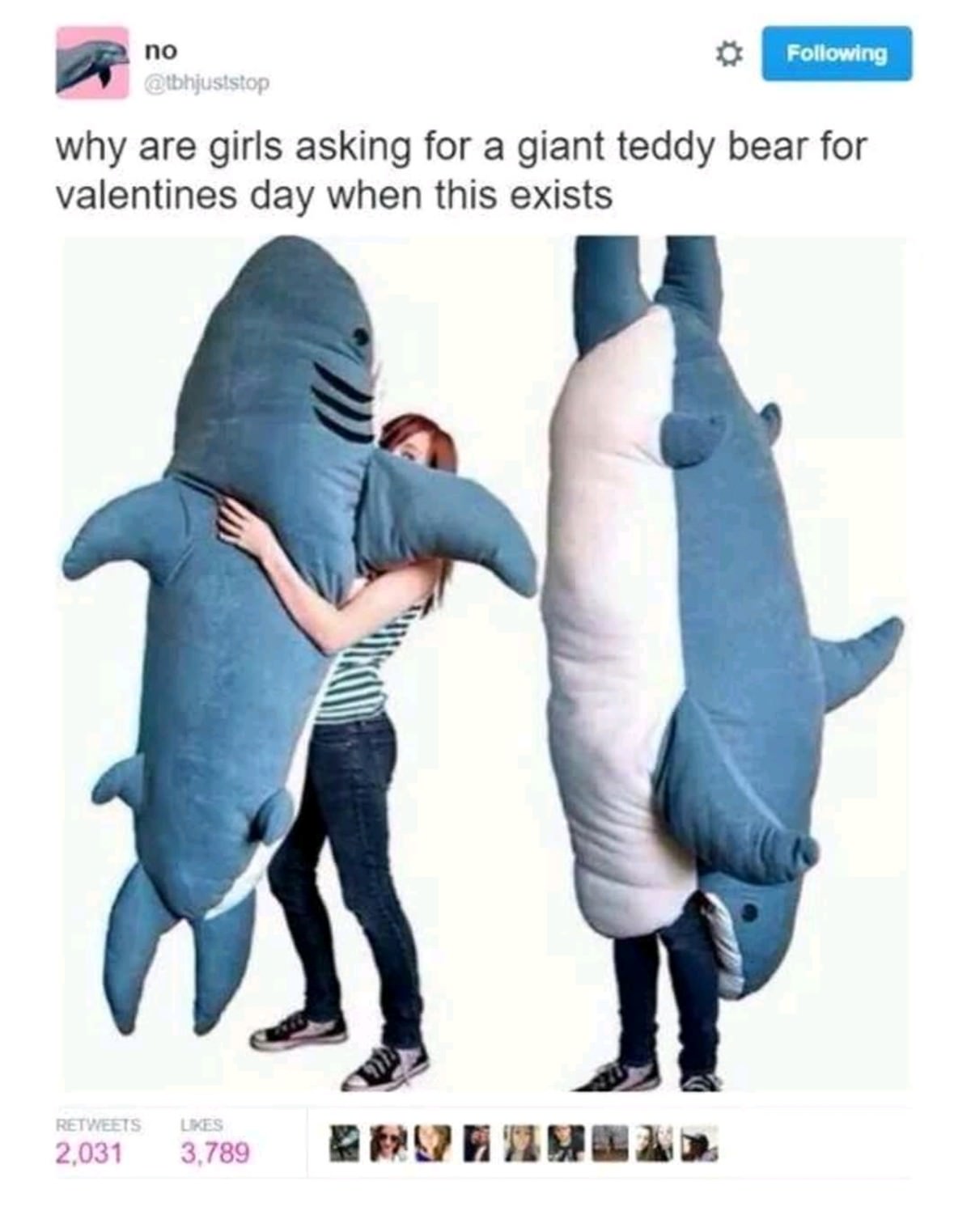 giant shark plush - ing no why are girls asking for a giant teddy bear for valentines day when this exists 2,03 3,789 29