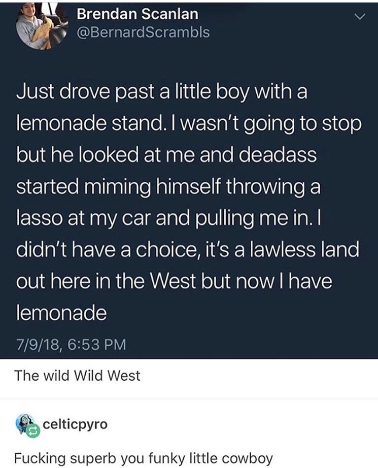 december 31st birthday meme - Brendan Scanlan Just drove past a little boy with a lemonade stand. I wasn't going to stop but he looked at me and deadass started miming himself throwing a lasso at my car and pulling me in. I didn't have a choice, it's a la