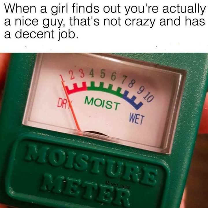 moisture meter meme - When a girl finds out you're actually a nice guy, that's not crazy and has a decent job. 1 2 3 4 5 6 5 6 7 8 7 Moist Wet 9 10 Dry Mois Moisture Meter Gined talks