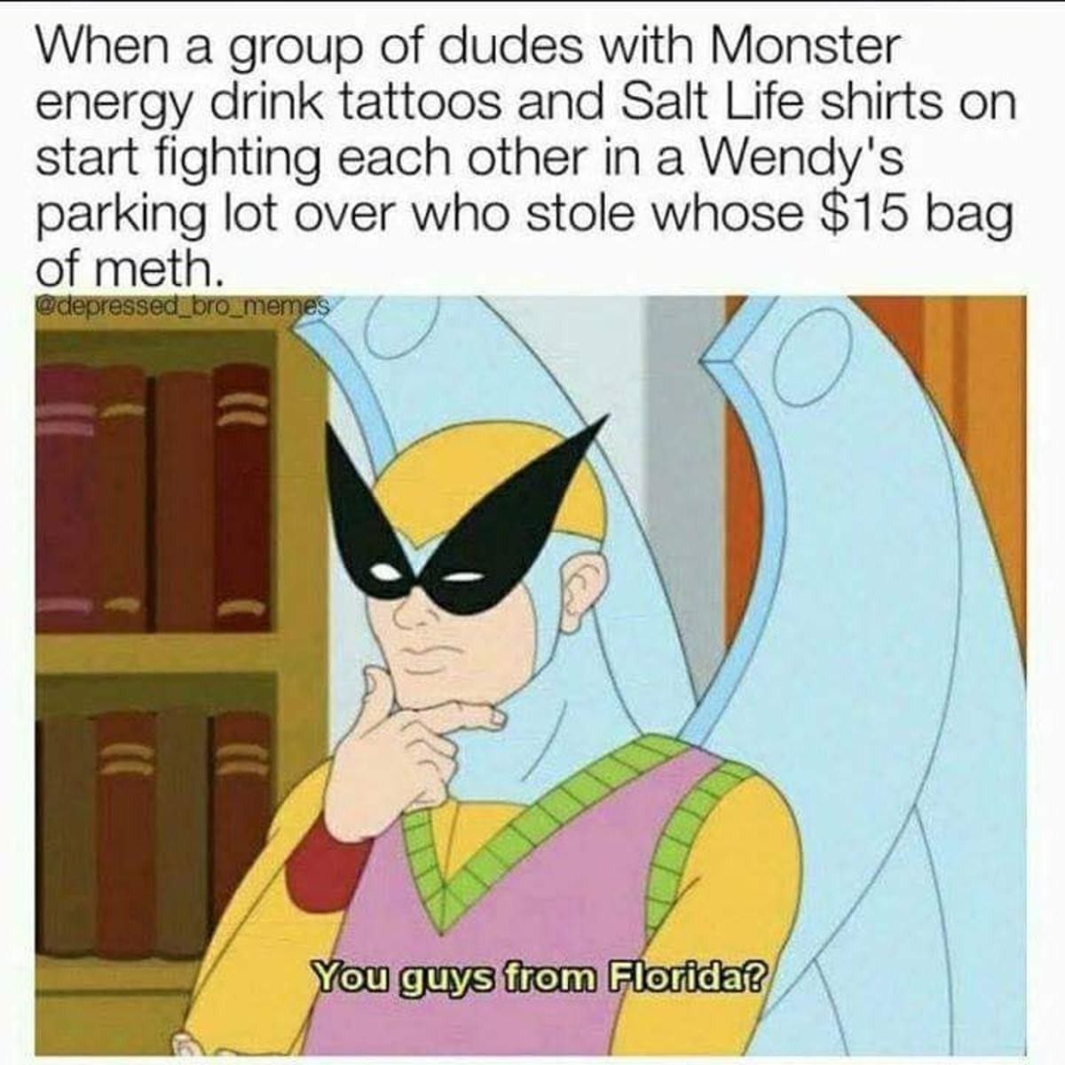 harvey birdman attorney at law quotes - When a group of dudes with Monster energy drink tattoos and Salt Life shirts on start fighting each other in a Wendy's parking lot over who stole whose $15 bag of meth. bro meme You guys from Florida