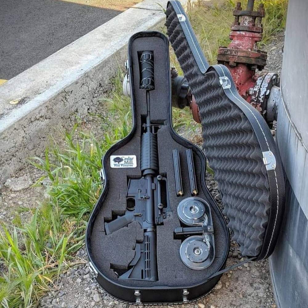 gun in guitar case - Cedar Mall