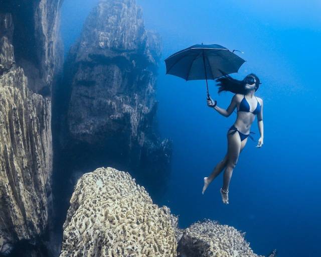 underwater ocean art