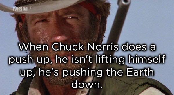 Totally True Facts About Chuck Norris