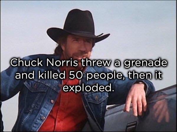 Totally True Facts About Chuck Norris