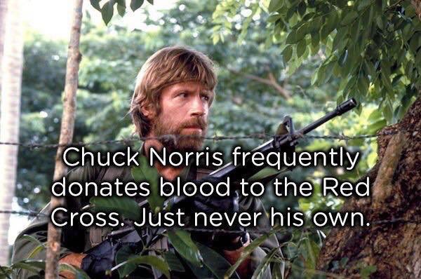 Totally True Facts About Chuck Norris