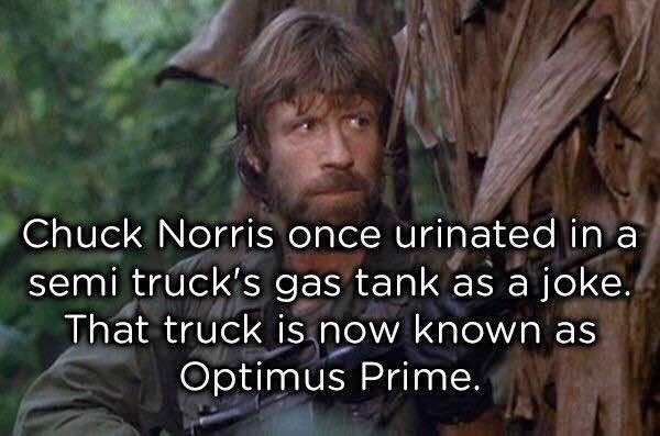 Totally True Facts About Chuck Norris