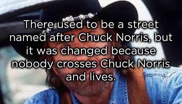 Totally True Facts About Chuck Norris