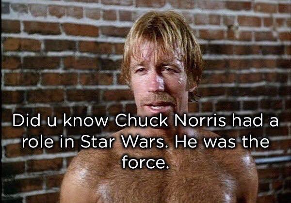 Totally True Facts About Chuck Norris