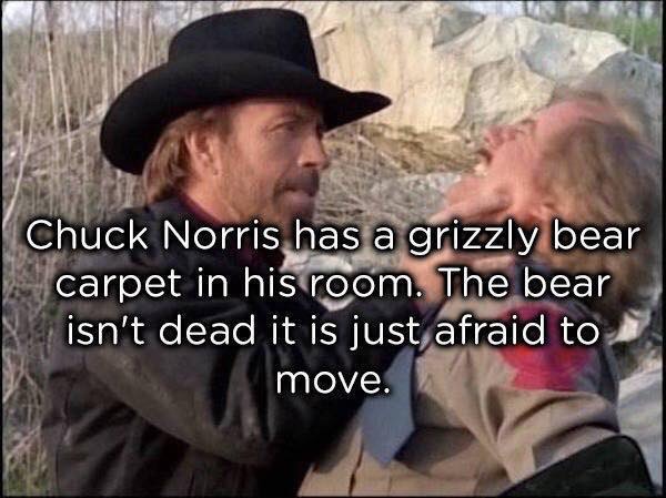 Totally True Facts About Chuck Norris