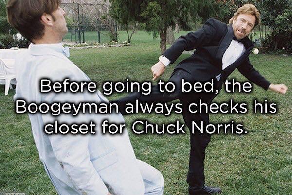 Totally True Facts About Chuck Norris