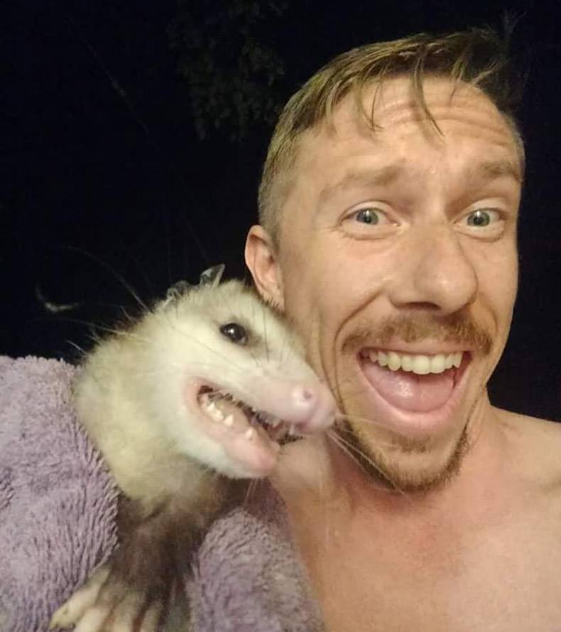 random pic possum selfie