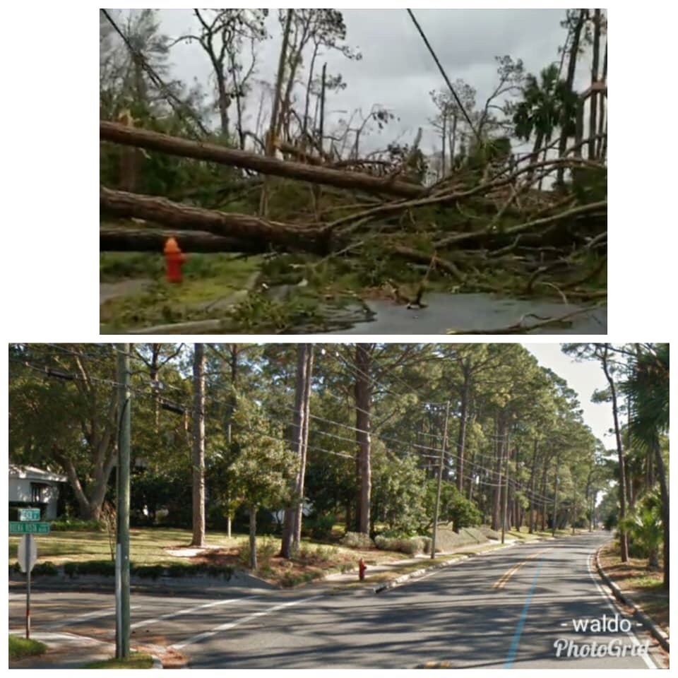 Compilation Showing The Devastation Caused By Hurricane Michael