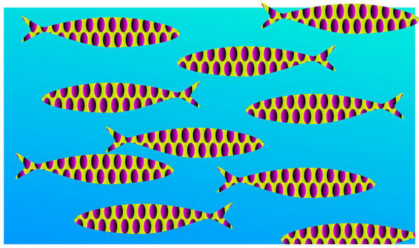 kitaoka fish illusion - 00000 T 0000000 To