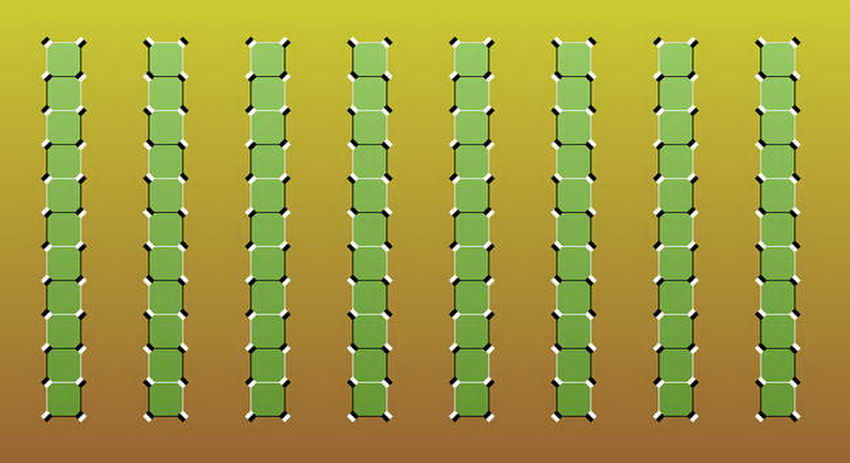 Look at these green lines and move your head.
