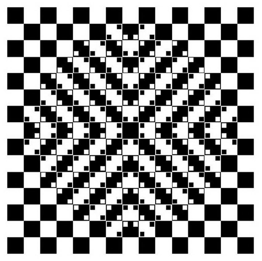 do you see circles or squares