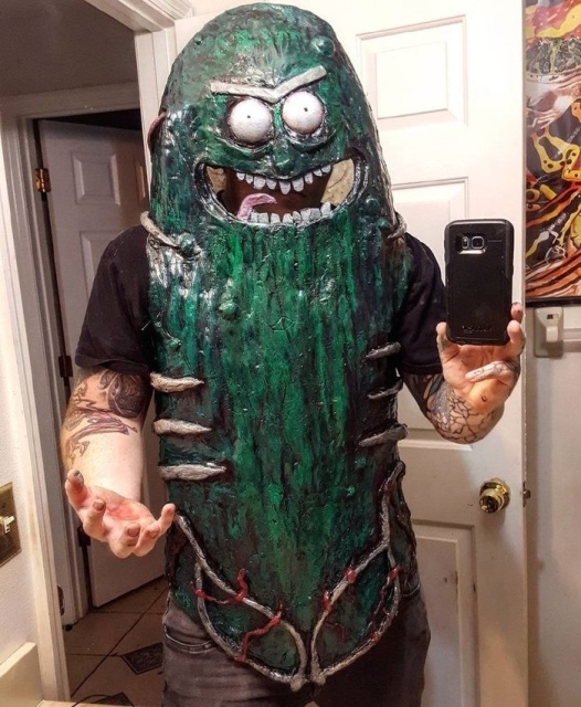 random pic pickle rick costume
