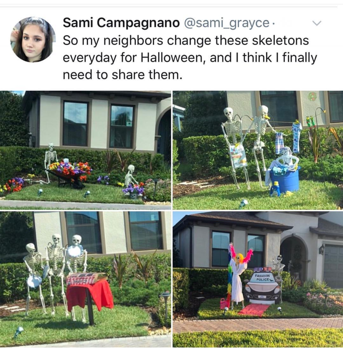 random pic yard - Sami Campagnano . So my neighbors change these skeletons everyday for Halloween, and I think I finally need to them.