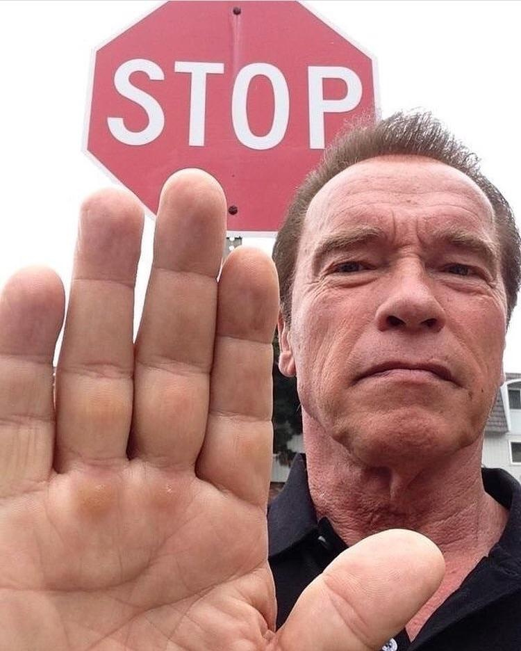 stop meme - Stop