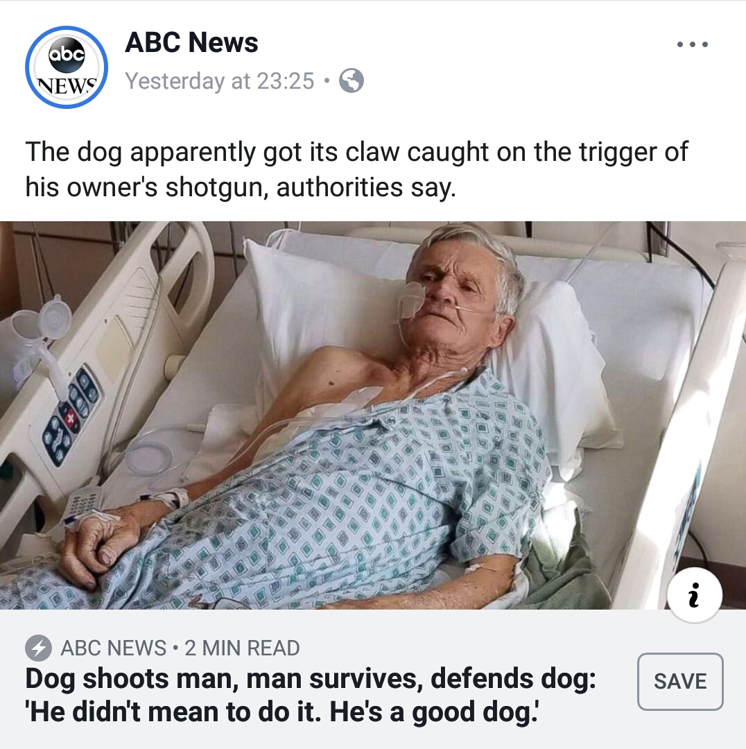 random pic photo caption - abc Abc News News Yesterday at The dog apparently got its claw caught on the trigger of his owner's shotgun, authorities say. Abc News 2 Min Read Dog shoots man, man survives, defends dog "He didn't mean to do it. He's a good do