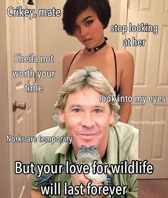 Crocodile hunter stopping you from looking at girl