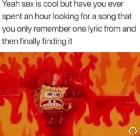 spongebob lit - Yeah sex is cool but have you ever spent an hour looking for a song that you only remember one lyric from and then finally finding it