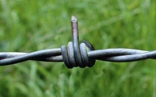 barbed wire middle finger