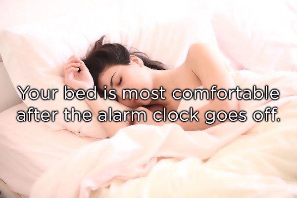 showerthoughts   - sleep - Your bed is most comfortable after the alarm clock goes off.