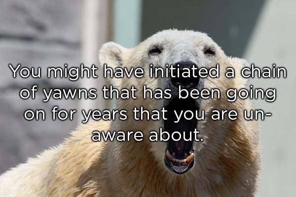 showerthoughts   - Thought - You might have initiated a chain of yawns that has been going on for years that you are un aware about.