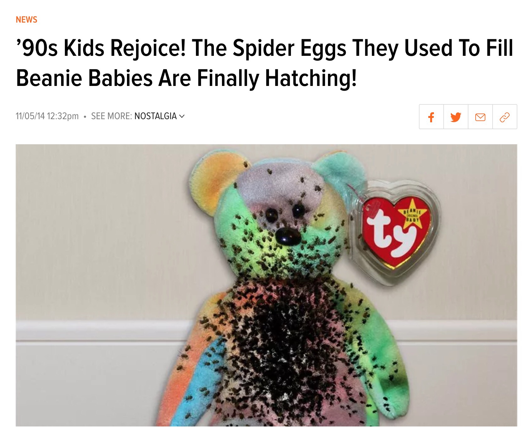 beanie babies filled with spider eggs - News '90s Kids Rejoice! The Spider Eggs They Used To Fill Beanie Babies Are Finally Hatching! 110514 pm See More Nostalgia V Bearte 8131