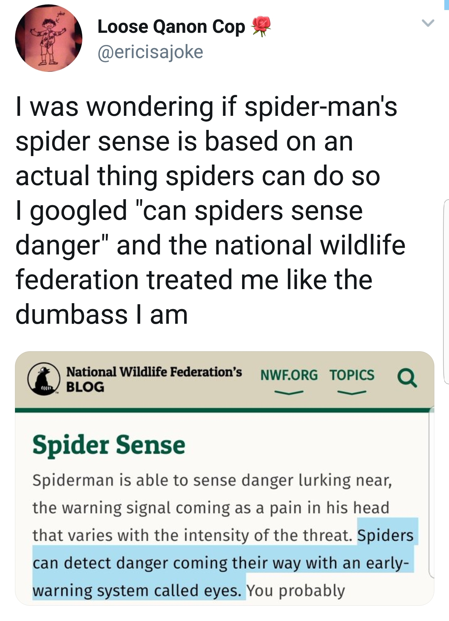 document - Loose Qanon Copo I was wondering if spiderman's spider sense is based on an actual thing spiders can do so I googled "can spiders sense danger" and the national wildlife federation treated me the dumbass I am National Wildlife Federation's Nwf.