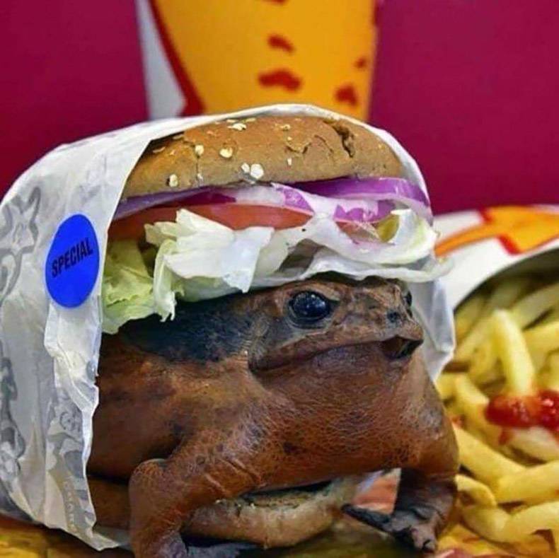 frog burger - Special